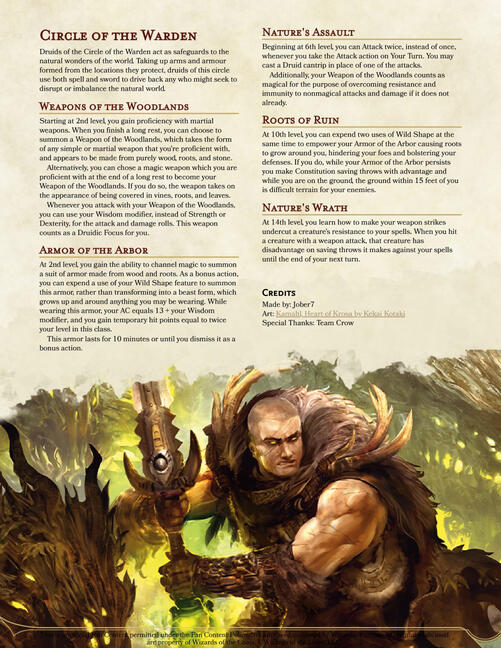Druid: Circle of the Warden